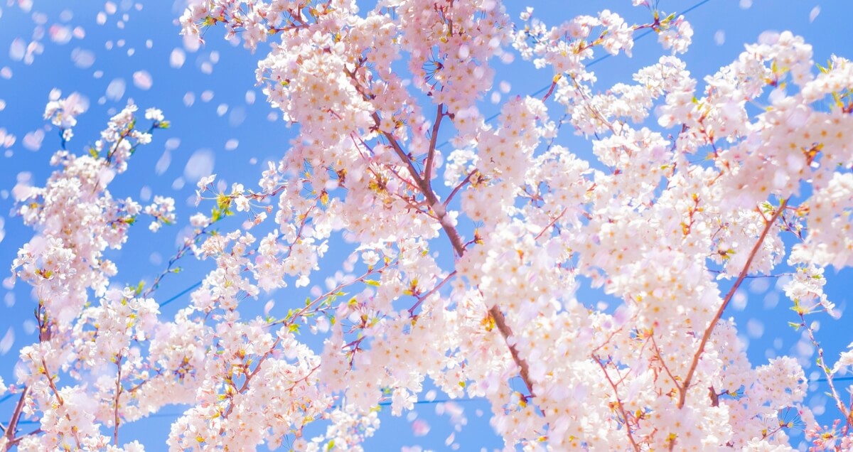 Des enfants en train de faire de la peinture